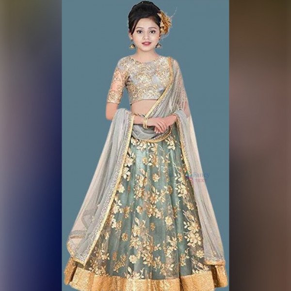 Lehangha Choli - Grey