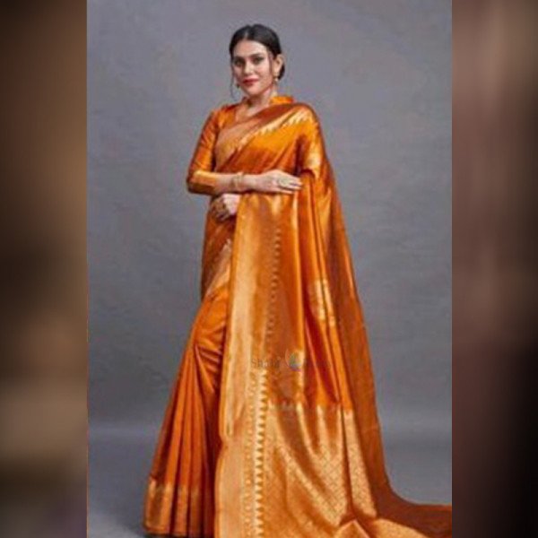 Astoban Fancy And Stylish Banarasi Silk Saree - Orange