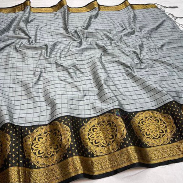 Panarasi Silk Saree - Grey